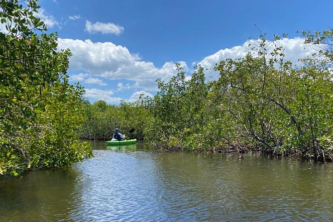 2 Hour Tandem Kayak Tour (Price for 2 People) - Reviews and Ratings