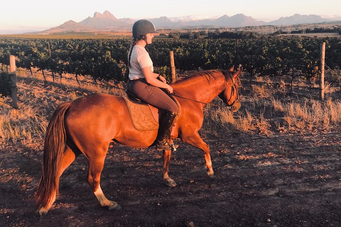 2 Hour Vineyard Trail Ride - Common Questions