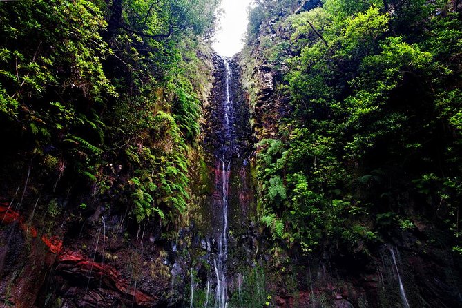 25 Fountains" Walk / Lost In The Beautiful Forest - Directions to 25 Fountains Walk