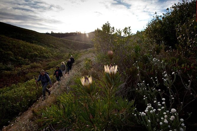 3-Day Private Hiking Trail in The Overberg - Pricing and Booking Details