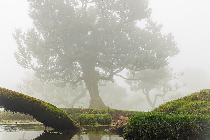 4x4 Jeep Tour to the West & Northwest of Madeira - Cultural Stops and Experiences