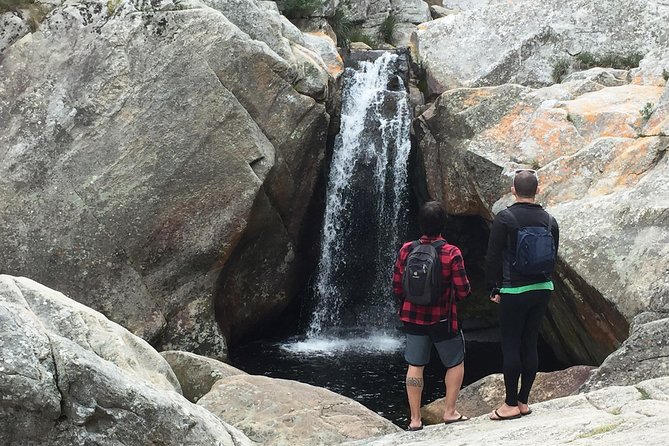 5-Day Garden Route & Addo Adventure From Cape Town to Port Elizabeth - Tsitsikamma National Park Hiking