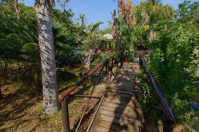 6 Day Classic Kruger National Park Safari From Johannesburg - Accommodation and Vehicle Conditions