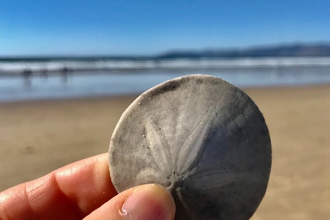 A La La Tour - Private Tour of Californias Central Coast - The Sum Up