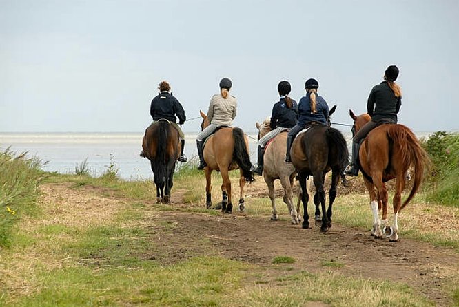 Agadir 2-Hour Private Horse Riding Experience With Pickup - Common Questions