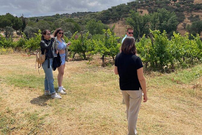 Alentejo Wine Tour From Évora - Testimonials From Satisfied Travelers