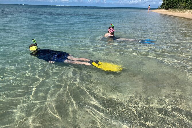 All Day Snorkeling Gear Rental in Puerto Rico - The Sum Up