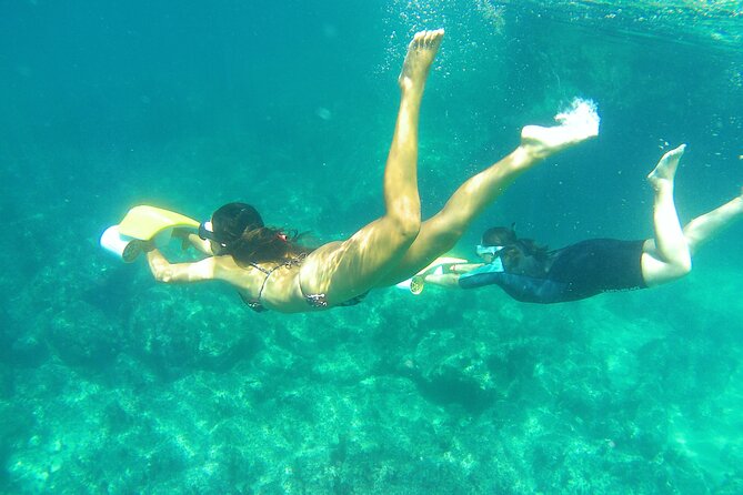 Aquatic Boat Adventure on the Arrábida Coast  - Setubal District - Visit Ribeira Do Cavalo Beach