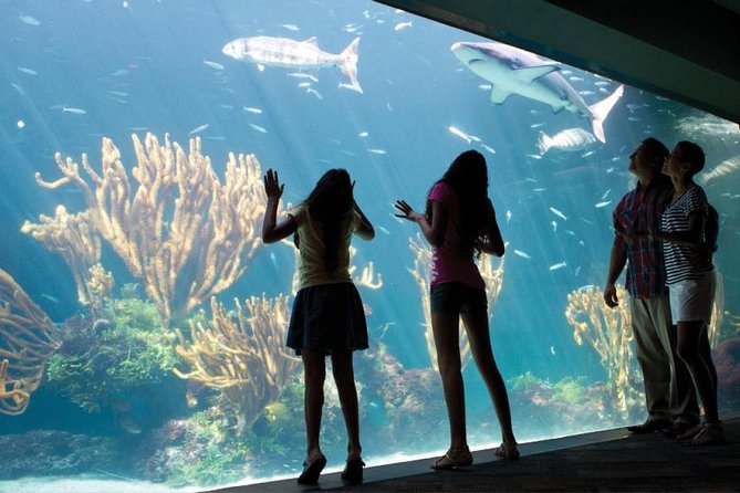 Bermuda Aquarium and Crystal Caves Admission - Common Questions