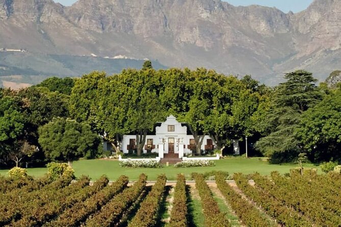 Big 5 Aquila Safari Full Day Tour With Nederburg Wine Tasting - Special Offer