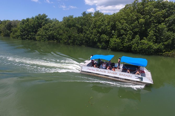 Black River Safari, YS Falls and Appleton Estate - Authentic Traveler Reviews and Ratings