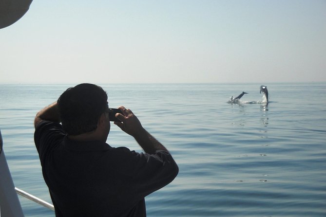 Boat Trip for Dolphin Watching Along the Arrabida Coast and Sesimbra - Next Steps