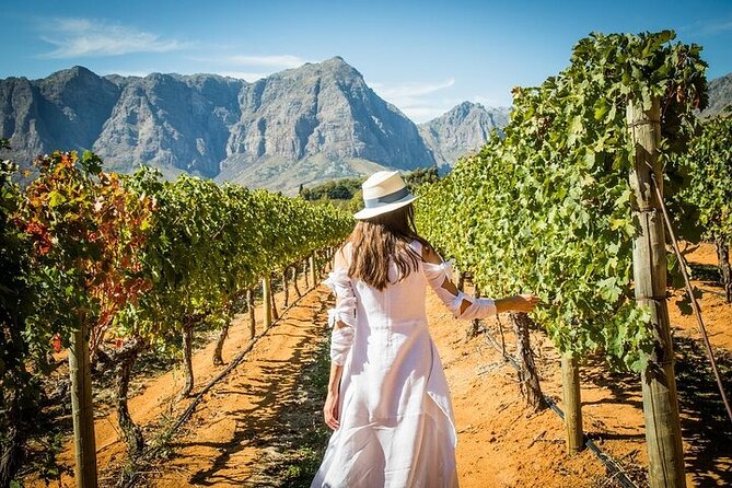 Cape Peninsula Helicopter Private Tour With Stellenbosch Wine Tasting & Lunch - Tour Duration