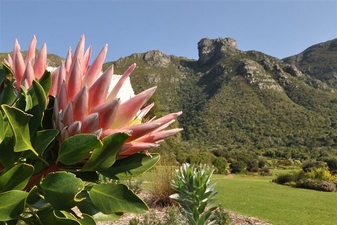 Cape Town City Sightseeing Tour - Tips for the Tour