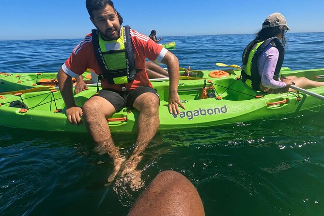 Cape Town Sea Kayaking Adventure Launching From V&A Waterfront - Common Questions