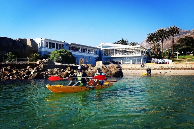 Cape Town: Sea Kayaking Near Penguins Tour - The Sum Up
