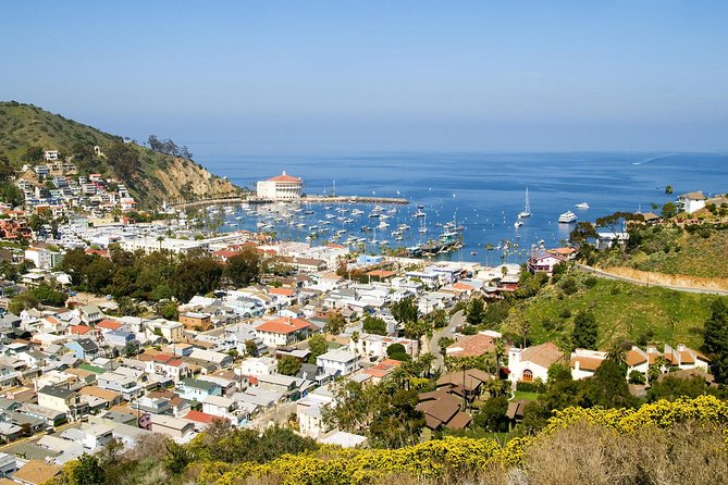 Catalina Island Day Trip From Anaheim Hotels With Discover Avalon Tour - Terms & Conditions