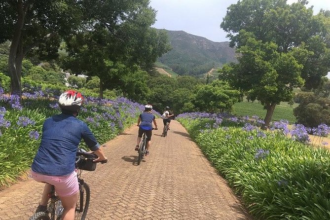 Constantia Hidden Gem Cycle Half Day - Private Tour - Common Questions