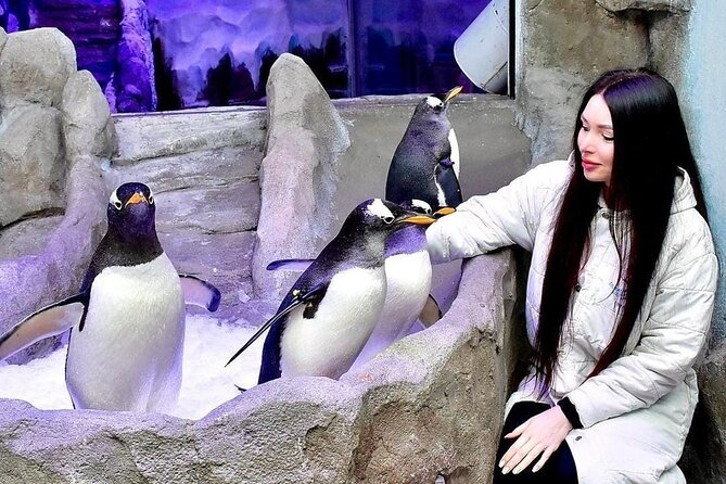 Dubai Aquarium and Underwater Zoo - The Sum Up