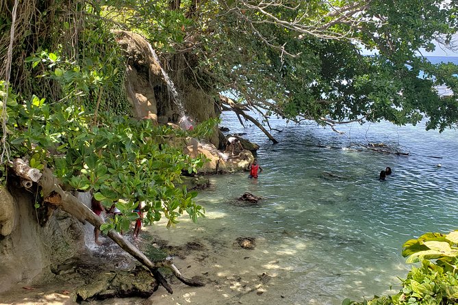 Dunns Falls and Blue Hole Daytrip With Lunch From Montego Bay & Trelawny - Important Information and Tips for the Daytrip