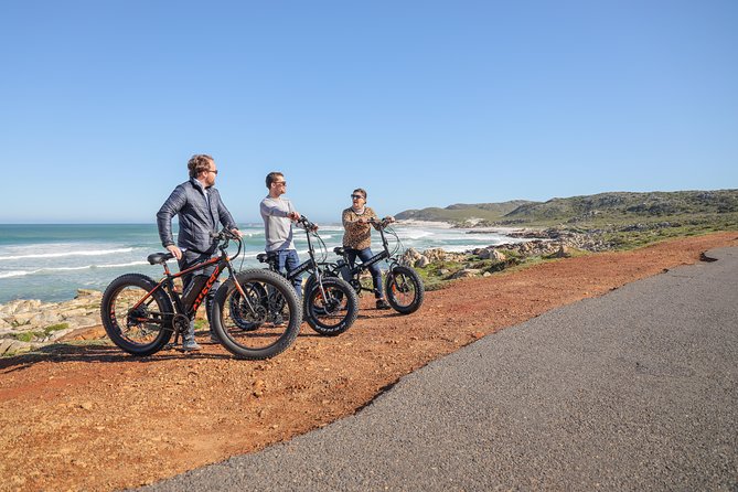 E-Bike Cape Peninsula Tour - Itinerary