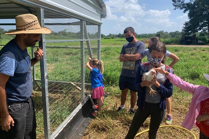 Eco Friendly Farming Tour to Explore Dorados Most Beautiful Farm - The Sum Up