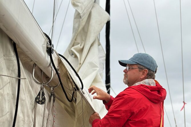 Experience Oceanside Sailing With Whales and Dolphins! - Confirmation and Availability