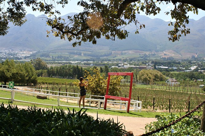 Franschhoek Half-Day Private Bike Tour With Lunch and Wine  - Cape Town - Additional Information