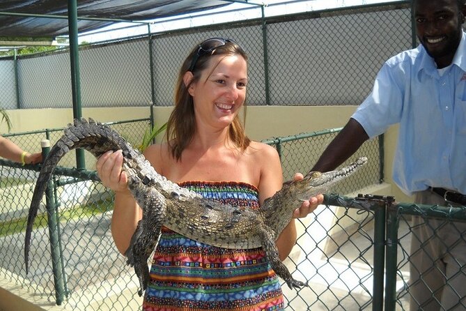 Full-Day Combo Tour With Entries to YS Falls, Black River Safari & Pelican Bar - Pelican Bar