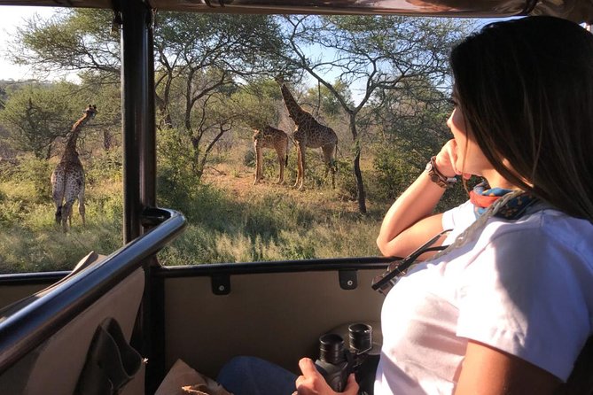 Full Day Kruger Safari Tour - The Sum Up