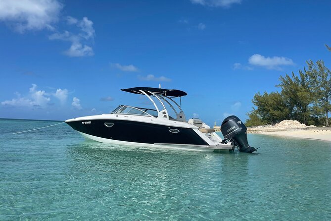 Full-Day Luxury Private Rose Island Pigs and Turtles Excursion - Common Questions