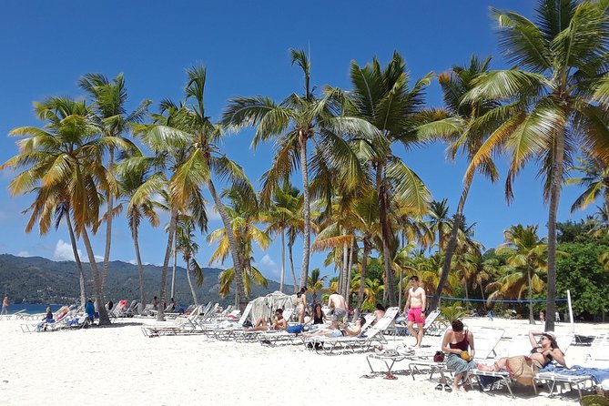 Full Day Samana Whales From Punta Cana With Waterfall, Bacardi Island & Lunch - Directions to the Tour Starting Point