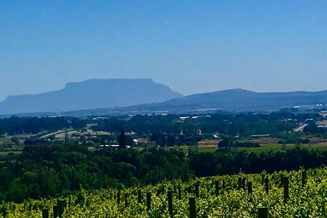 Full Day Wine Tour With Lunch And Tastings - Pricing and Terms