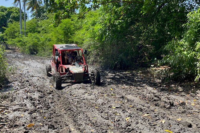 Half-Day Buggy Guided Adventure for Amber Cove and Taino Bay - Other Information