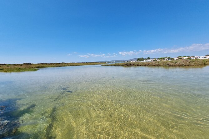 Half-Day Private Guided Kayak Island Tour - The Sum Up
