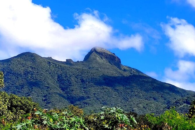 Hiking in Mount Liamuiga (Volcano) - The Sum Up