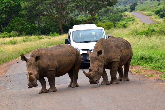 Hluhluwe Safari & Emdoneni Wild Cat Project Day Tour From Durban - Common Questions