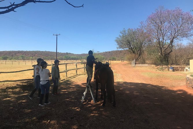 Horseriding Safari Day Tour From Johannesburg - Common Questions
