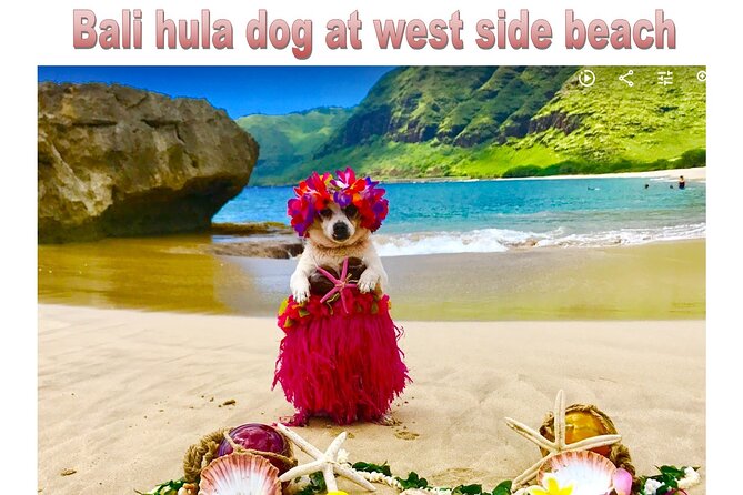 Incredible West Side Hidden Gems of Oahu(Optional Tour With Celebrity Hula Dog) - The Sum Up