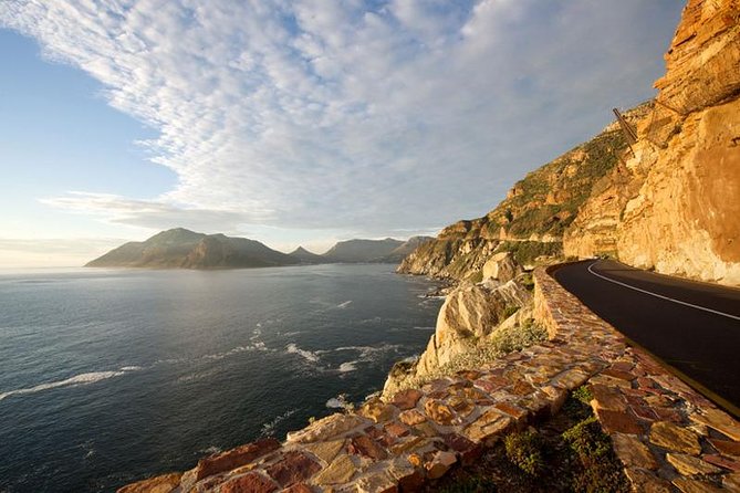 Johannesburg Shuttle Service, Tours and Safari - The Sum Up
