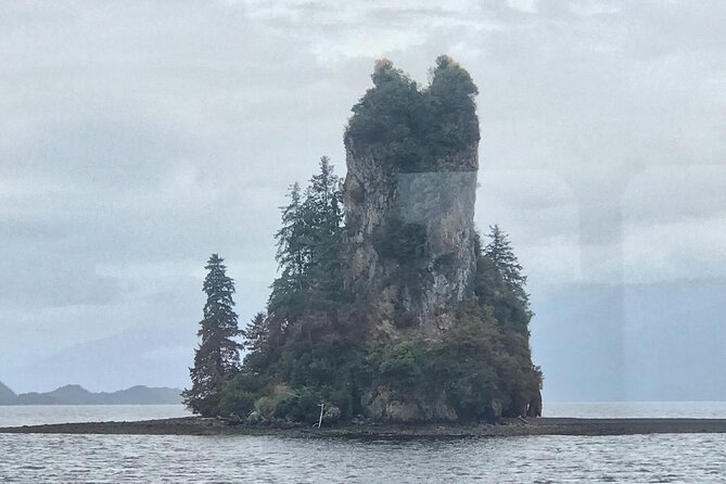 Ketchikan Whale Watching and Nature Tour - The Sum Up