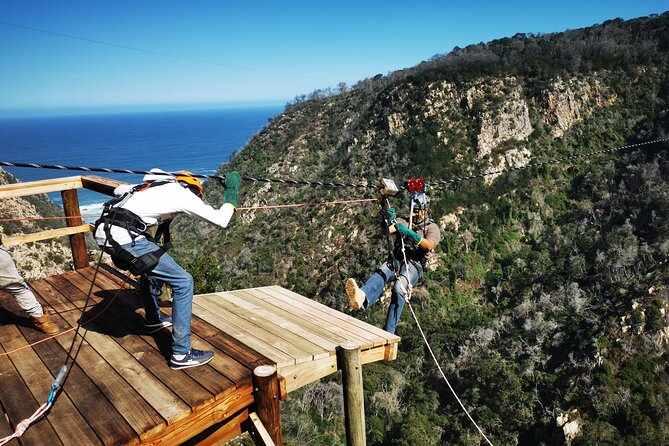 Knysna Small-Group Zipline Tour  - Plettenberg Bay - The Sum Up