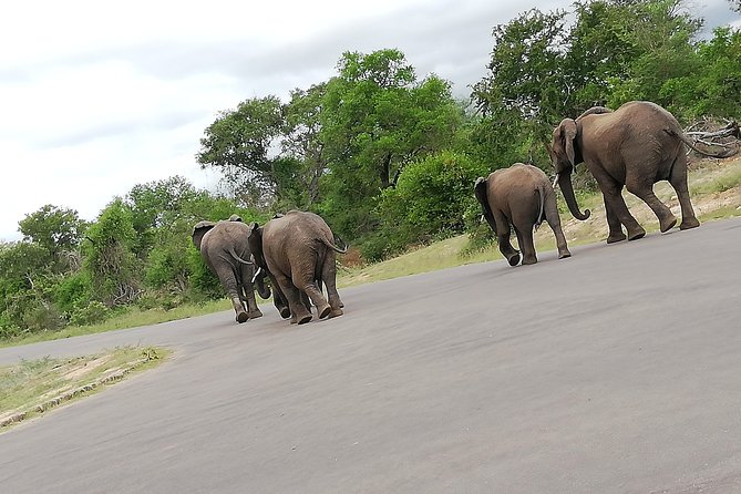 Kruger National Park 2 Days 1 Night Magical Safari From Johannesburg Private - Pricing and Terms