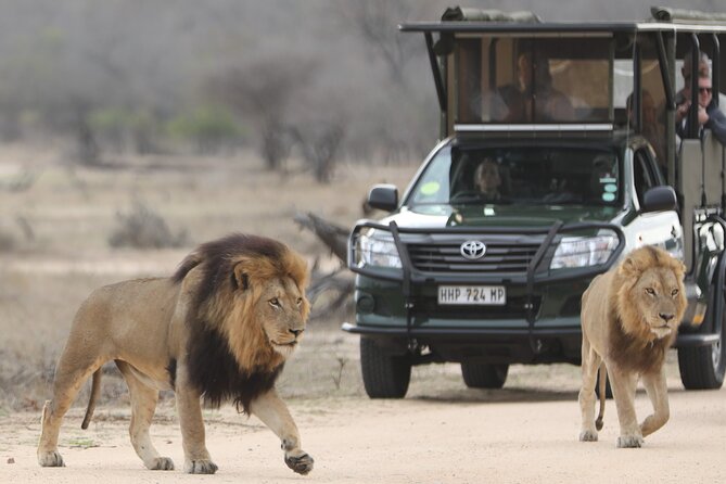 Kruger National Park Full Day Private Safari - Common Questions