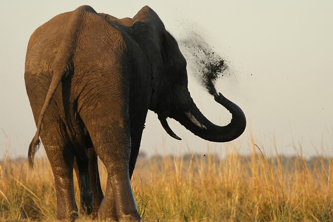 Kruger National Park in a Open Safari Vehicle - Full Day - The Sum Up