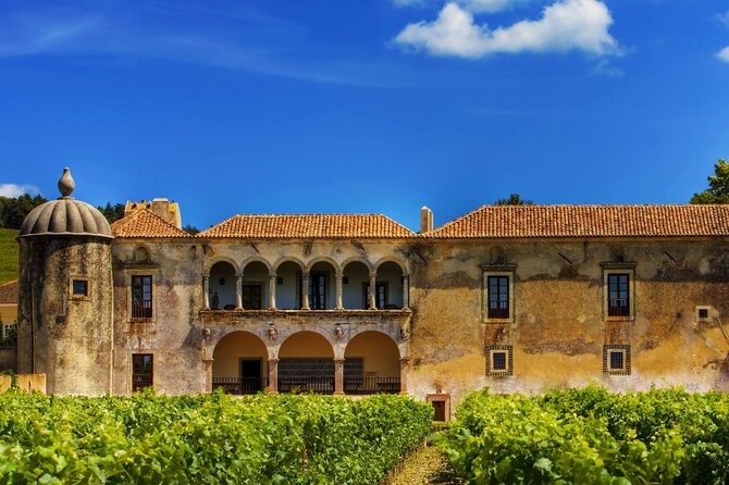 Luxury Private Arrábida Tour and Bacalhoa Palace With Exclusive Wine Taste - Bacalhoa Palace Experience