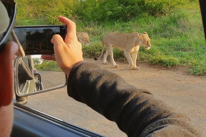 Marloth Park Small-Group Full-Day Kruger Safari  - Mpumalanga - The Sum Up