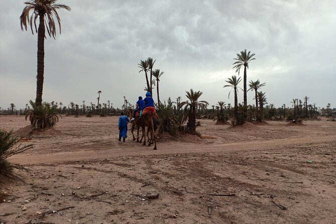 Marrakech Camel Safari at Agafay Desert - Common Questions