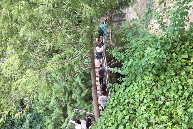 Mountain Adventure (Grouse Mountain and Capilano Suspension Bridge) - Overview of Mountain Adventure