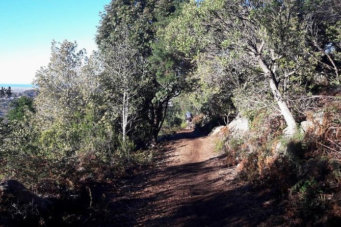 MTB Table Mountain - Constantia Morning Tour - Reviews and Ratings